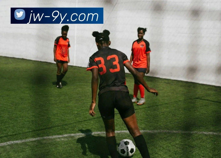 九游官网APP 封面图